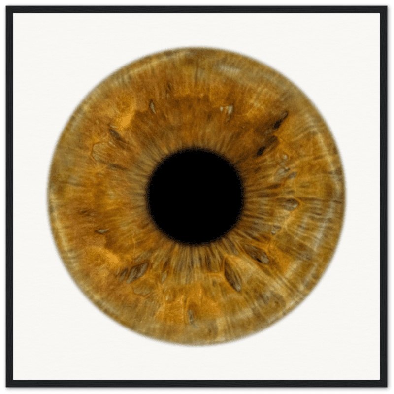 The Pristine - Custom Iris Black Framed Poster 50x50 cm / 20x20''