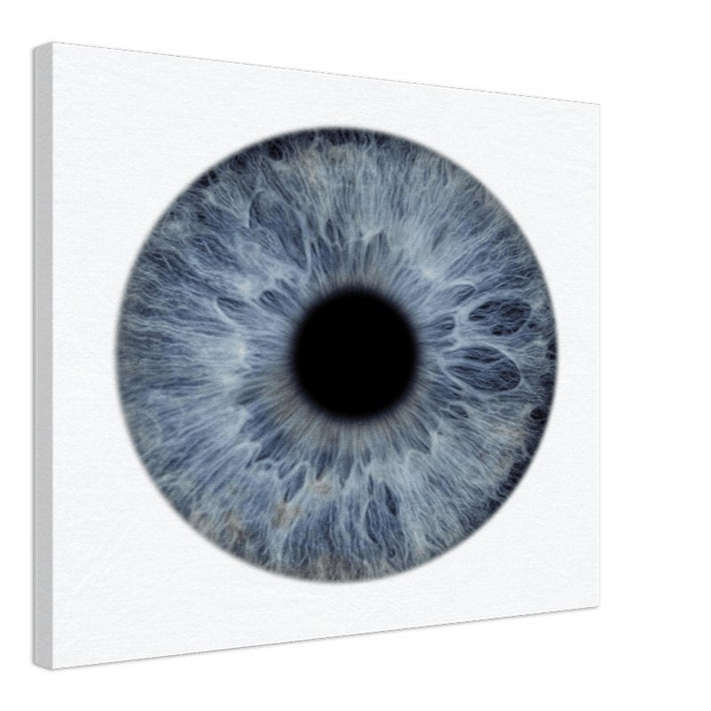 The Pristine - Custom Iris Canvas 