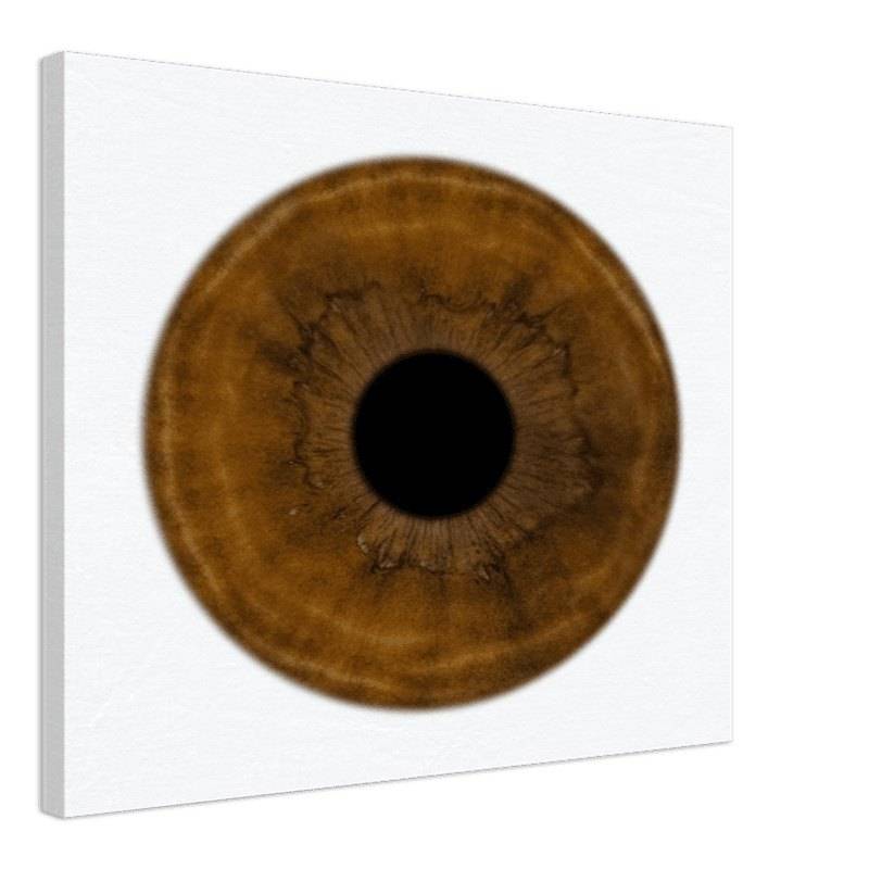 The Pristine - Custom Iris Canvas 