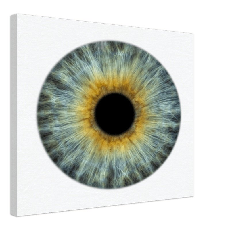 The Pristine - Custom Iris Canvas 