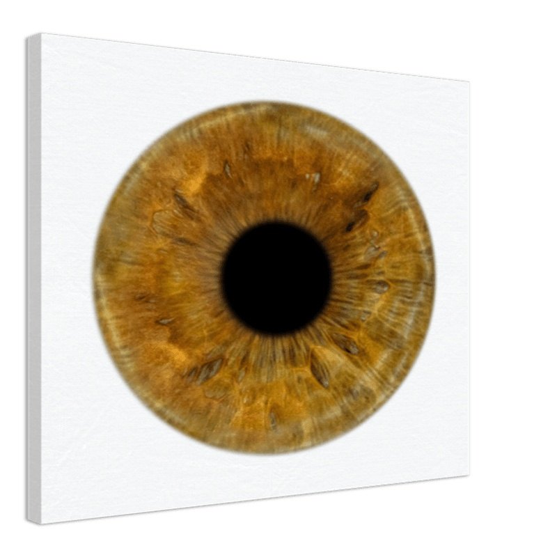 The Pristine - Custom Iris Canvas 