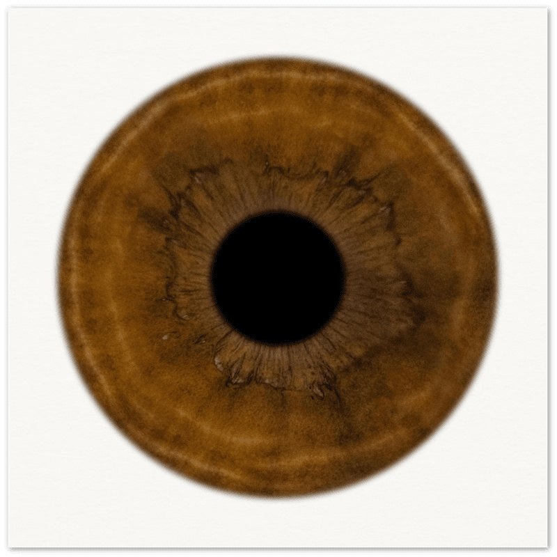 The Pristine - Custom Iris Premium Poster