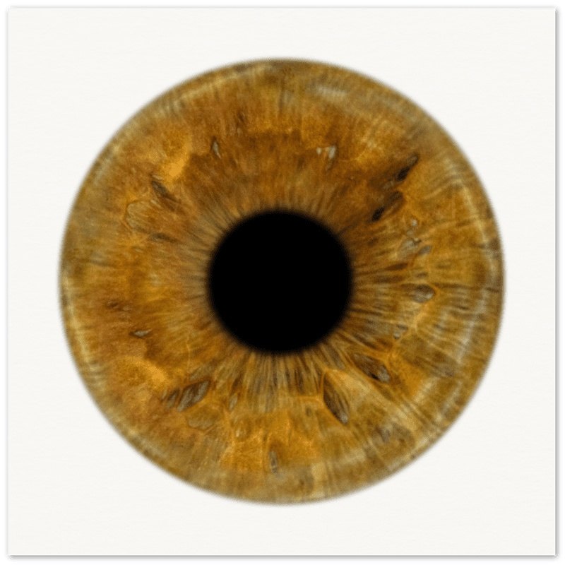 The Pristine - Custom Iris Premium Poster