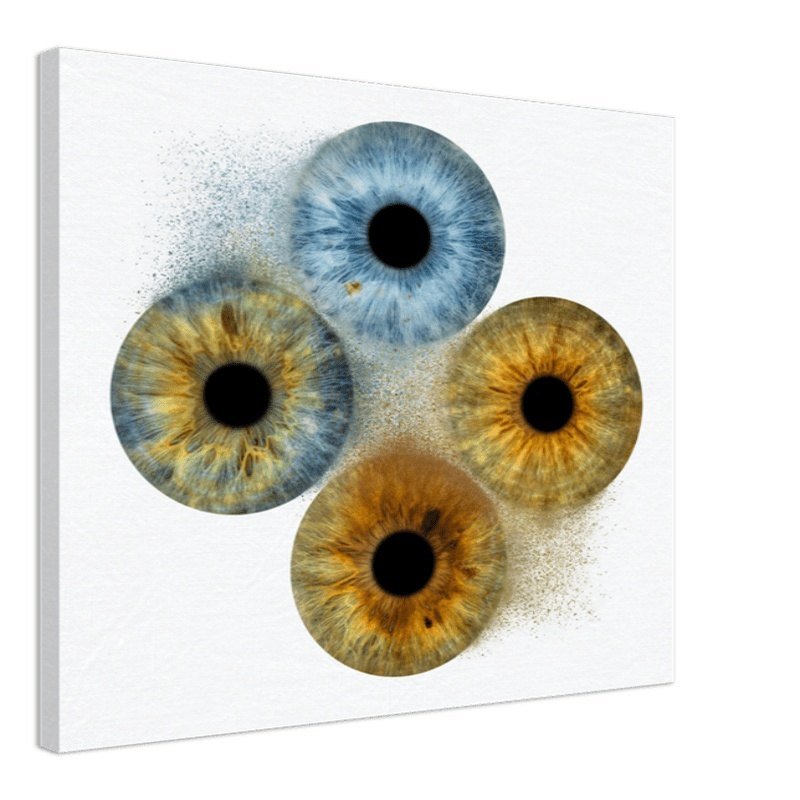 Vibrant quartet iris canvas on black background