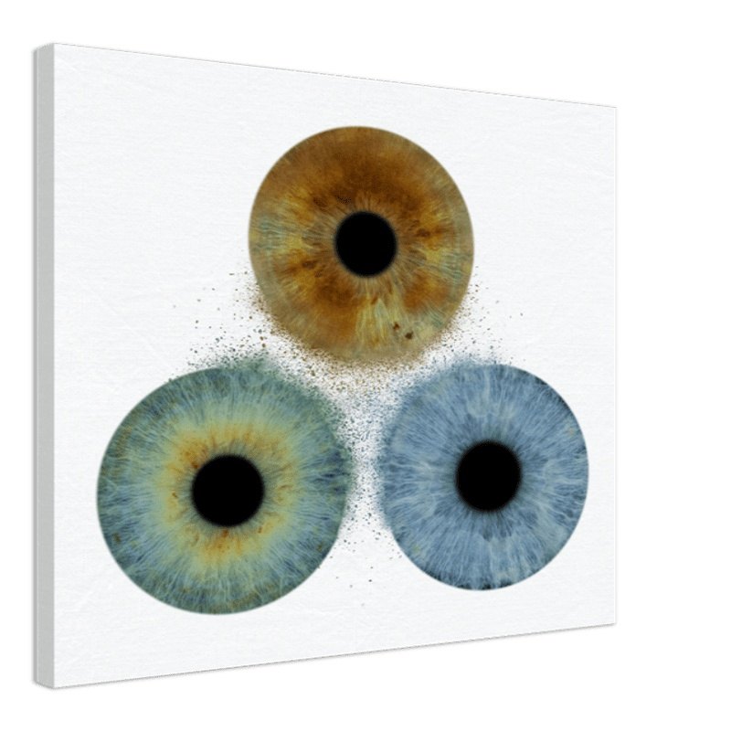 Custom Trio Iris Canvas with white background