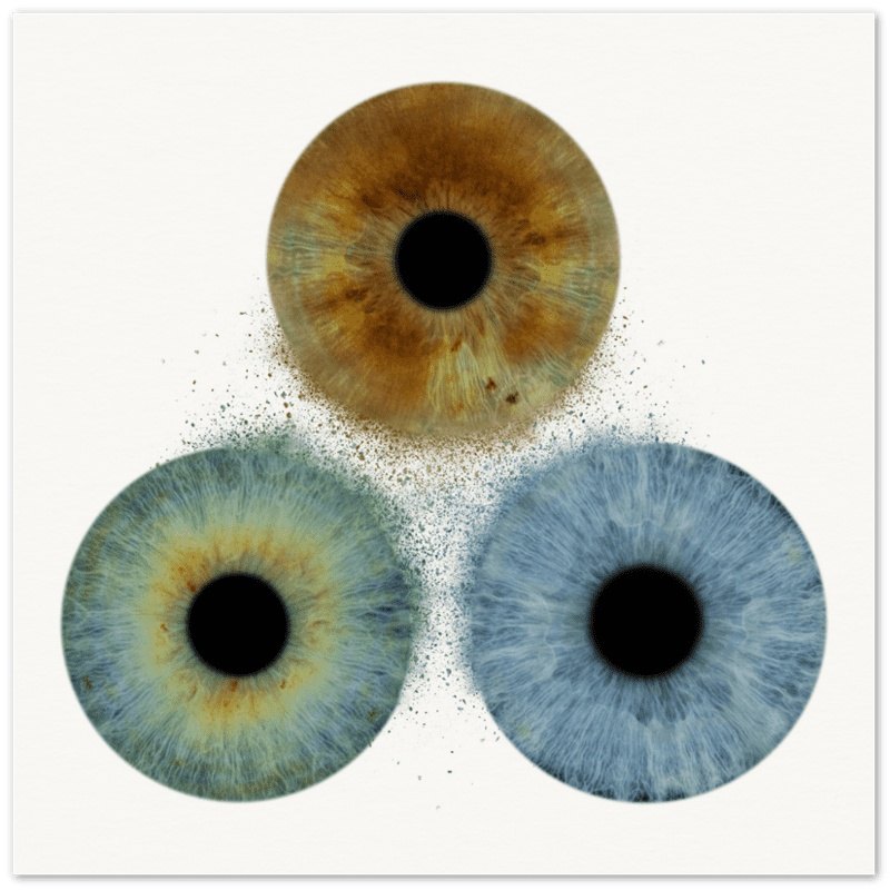 Custom Trio Iris Premium Poster on white background