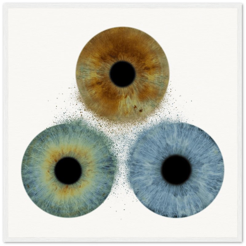 Custom trio iris poster with white background