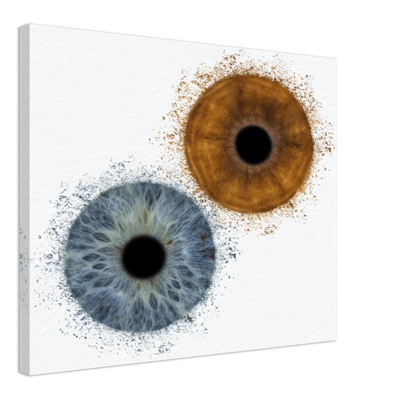 The Vibrant - Custom Duo Iris Canvas