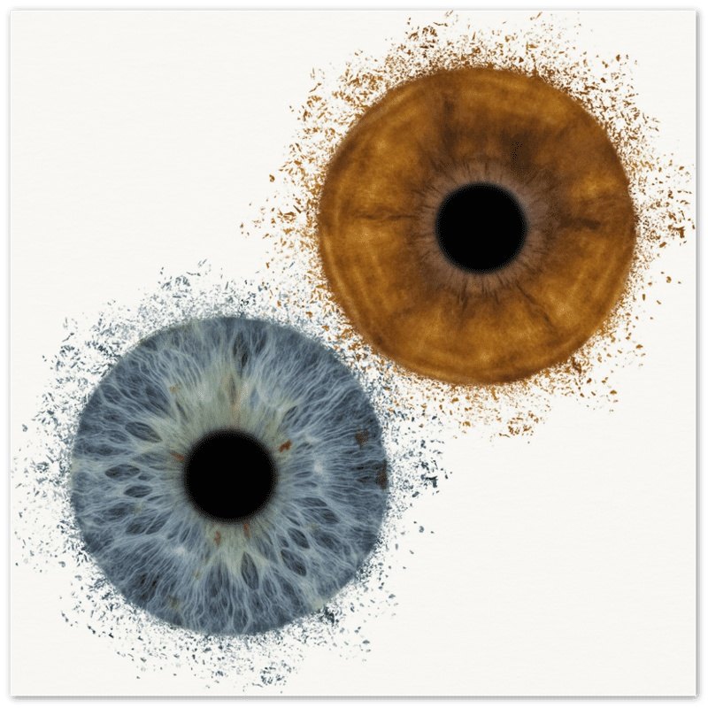 Captivating Duo Iris Eye Portraits | Online Iris Prints - Iris Blink®