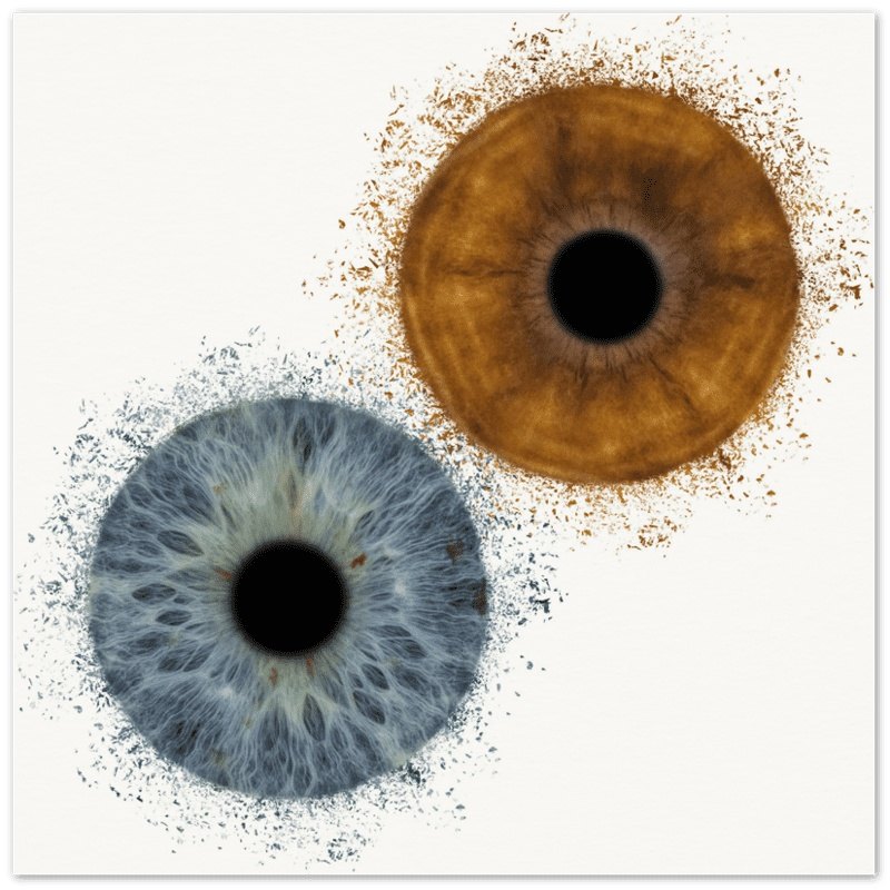The Vibrant - Custom Duo Iris Premium Poster