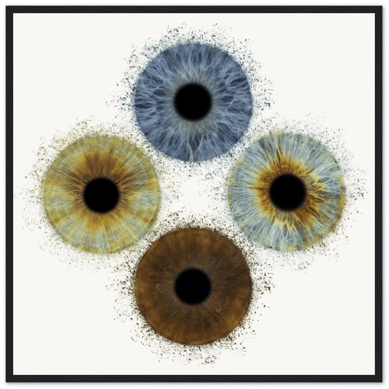 Quartet iris poster on white background, black frame