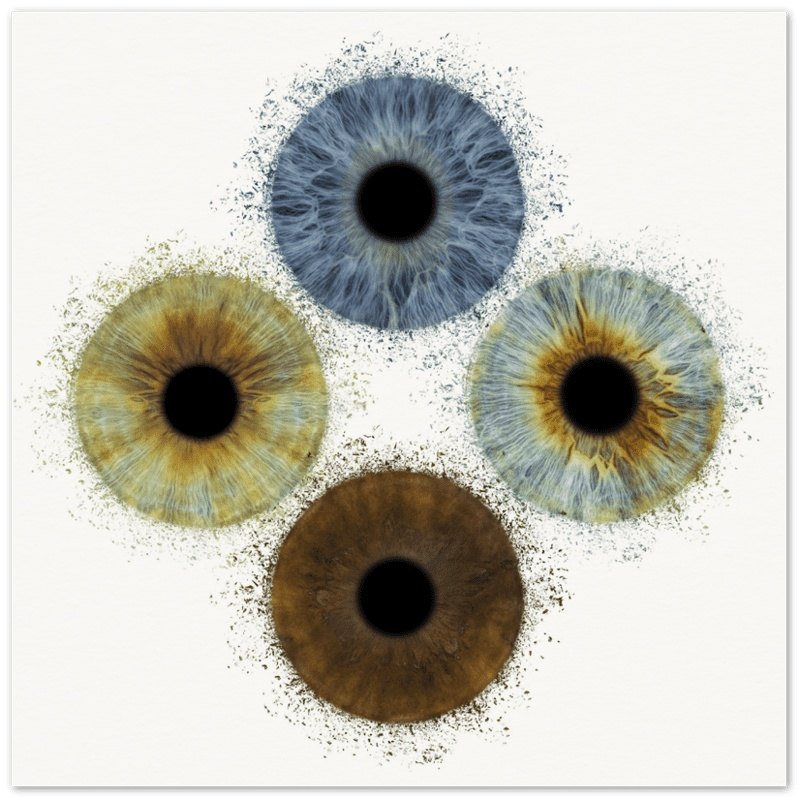The Vibrant - Custom Quartet Iris Premium Poster