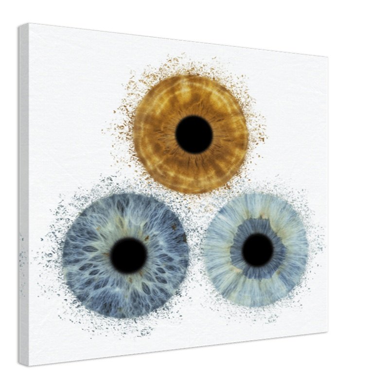 The Vibrant - Custom Trio Iris Canvas