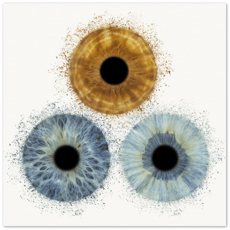 The Vibrant - Custom Trio Iris Premium Poster