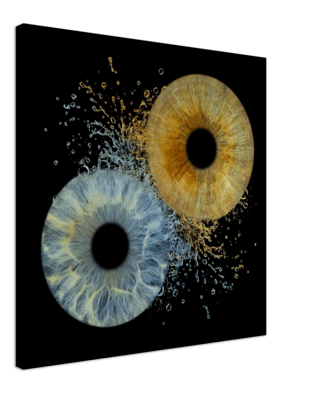 Abstract artwork of two circular forms with a black background