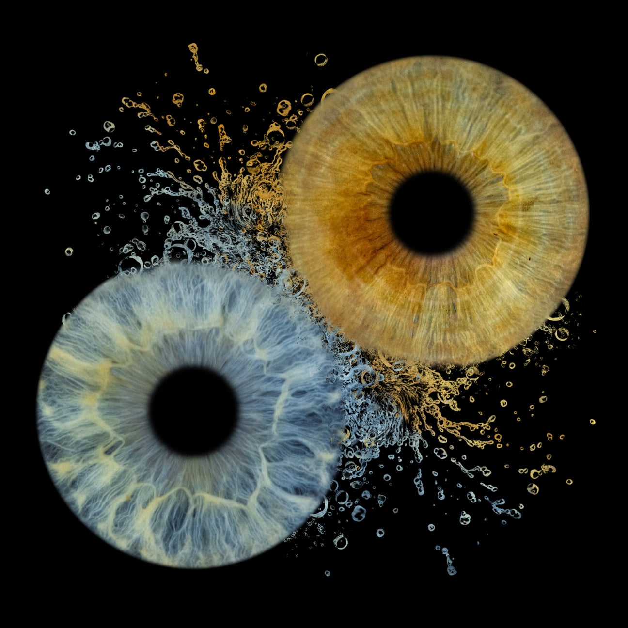 Two eye-like structures with a black center on a black background