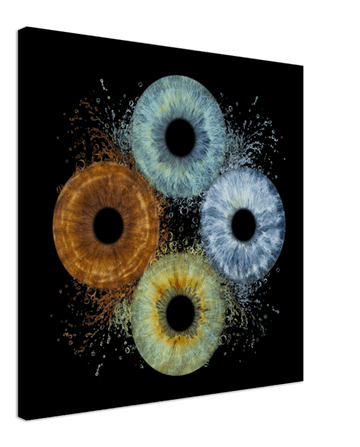 Abstract art of four circular shapes with splashes on a black background