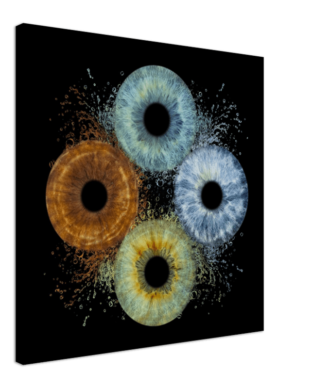 Abstract art of four circular shapes with splashes on a black background