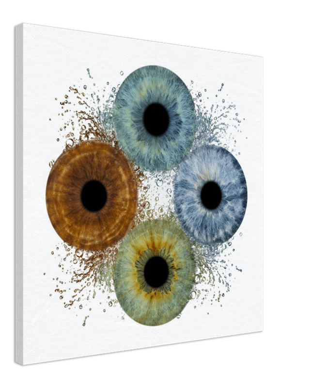 Abstract art of four eye-like circular shapes in brown, blue, and green on a white background.