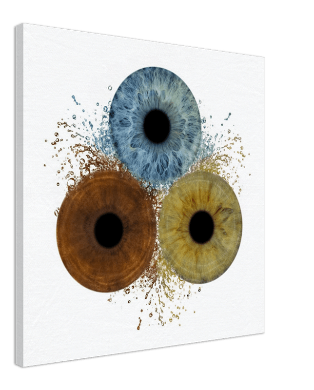 Abstract art of three eye-like shapes in blue, brown, and yellow on a white background
