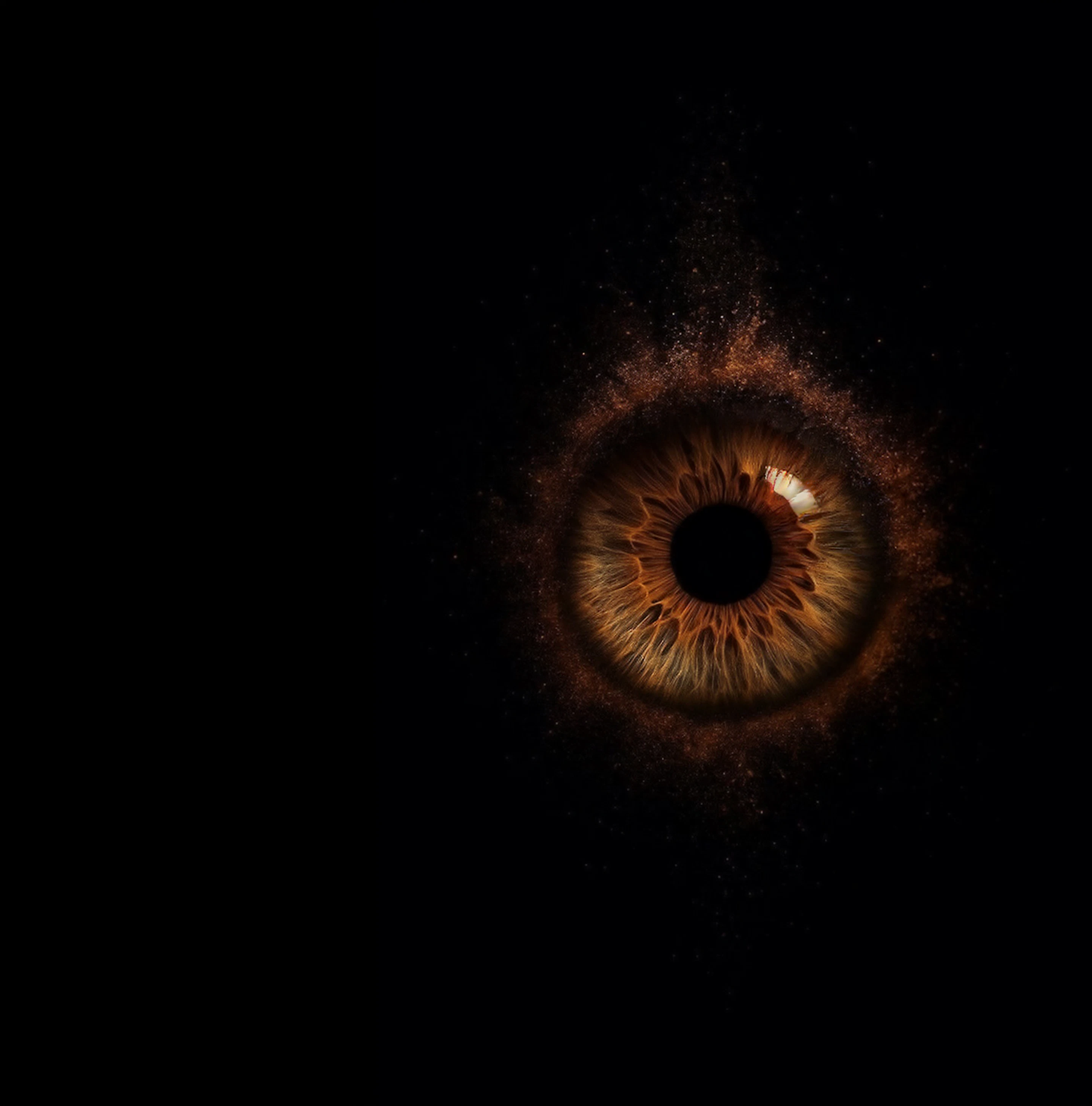 slider image slider_item_YXyatz