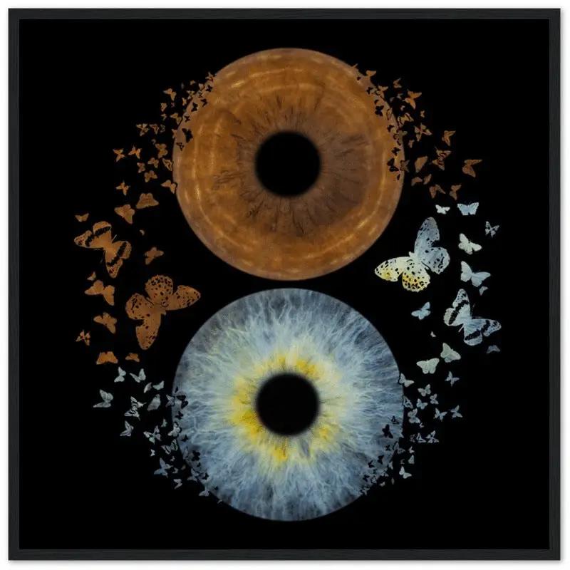 Custom duo iris black framed poster with butterfly effect.