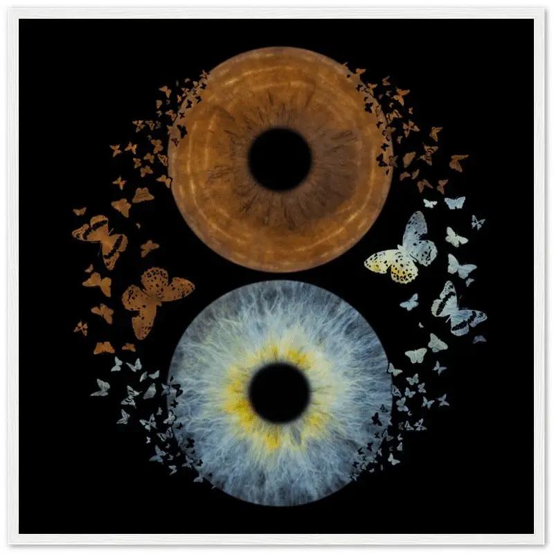Custom duo iris poster with butterflies on black background
