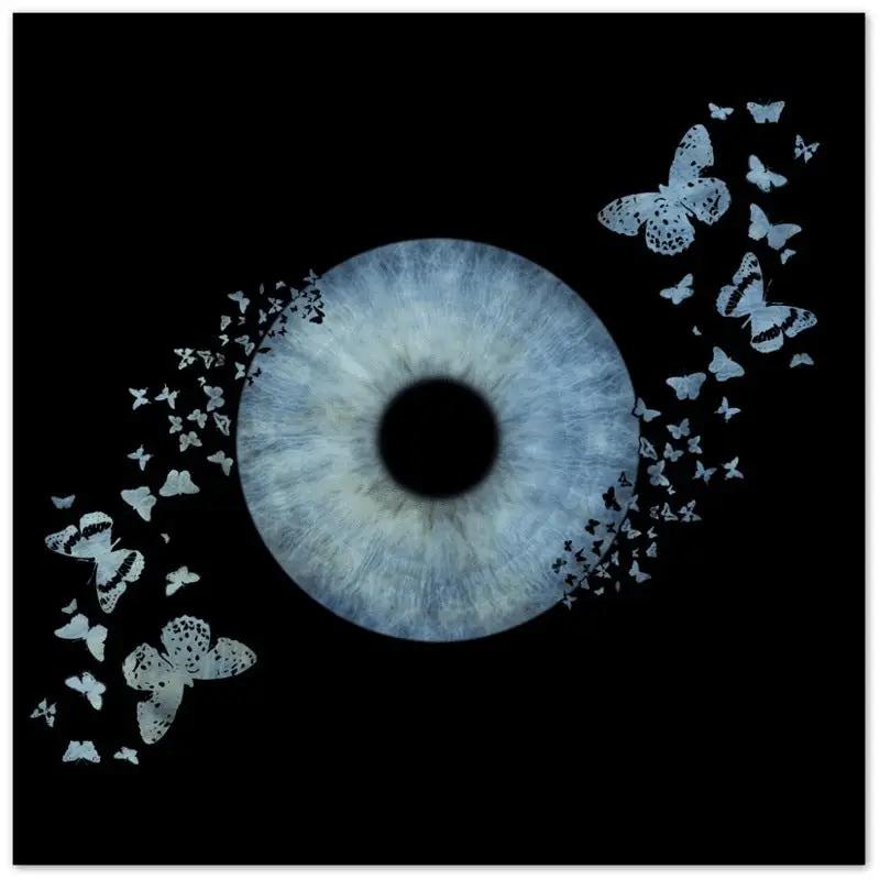 Artistic iris canvas featuring butterfly motif on black
