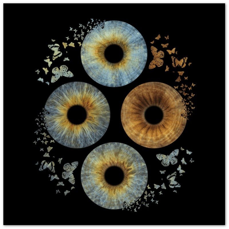 Artistic Quartet Iris Canvas with butterfly effect on black