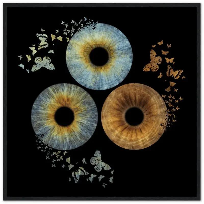 Trio iris black framed poster with butterfly design