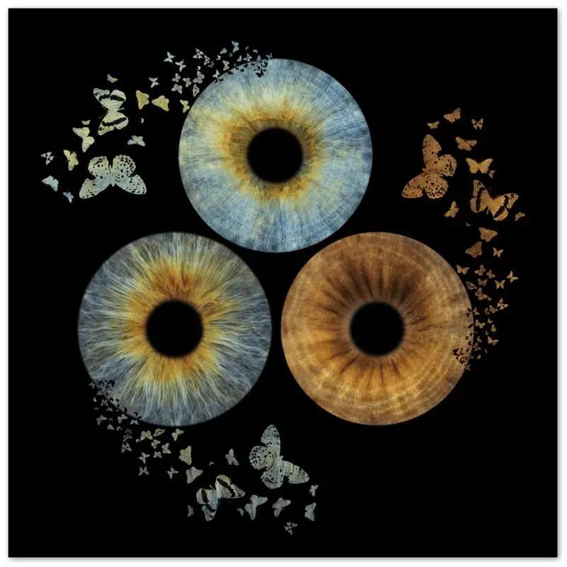 Trio Iris Canvas art with butterfly motif on dark backdrop