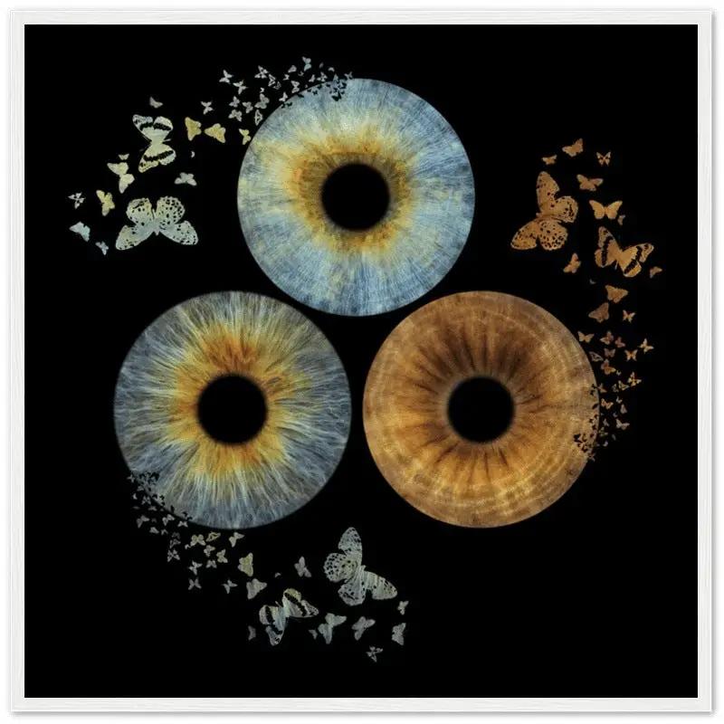 Custom trio iris poster with butterflies on black background