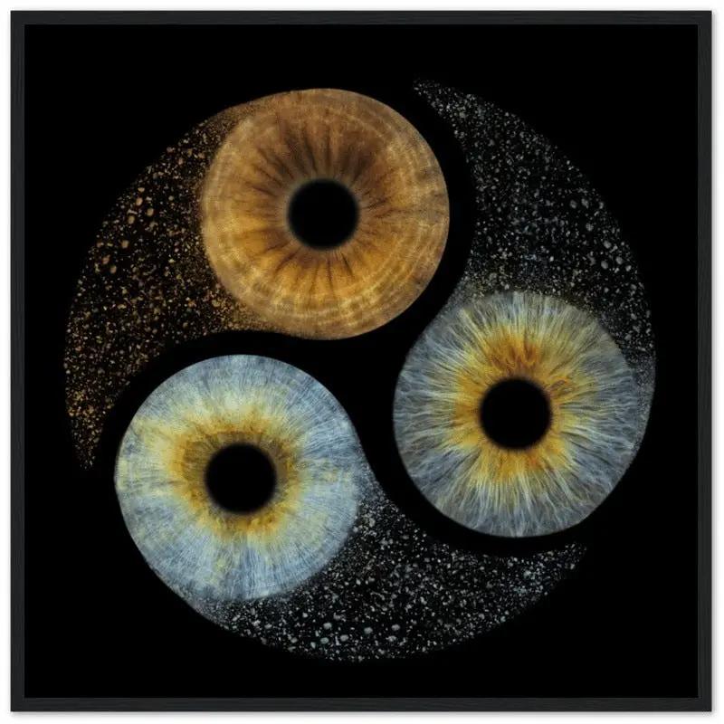 Custom black framed trio iris art on dark background