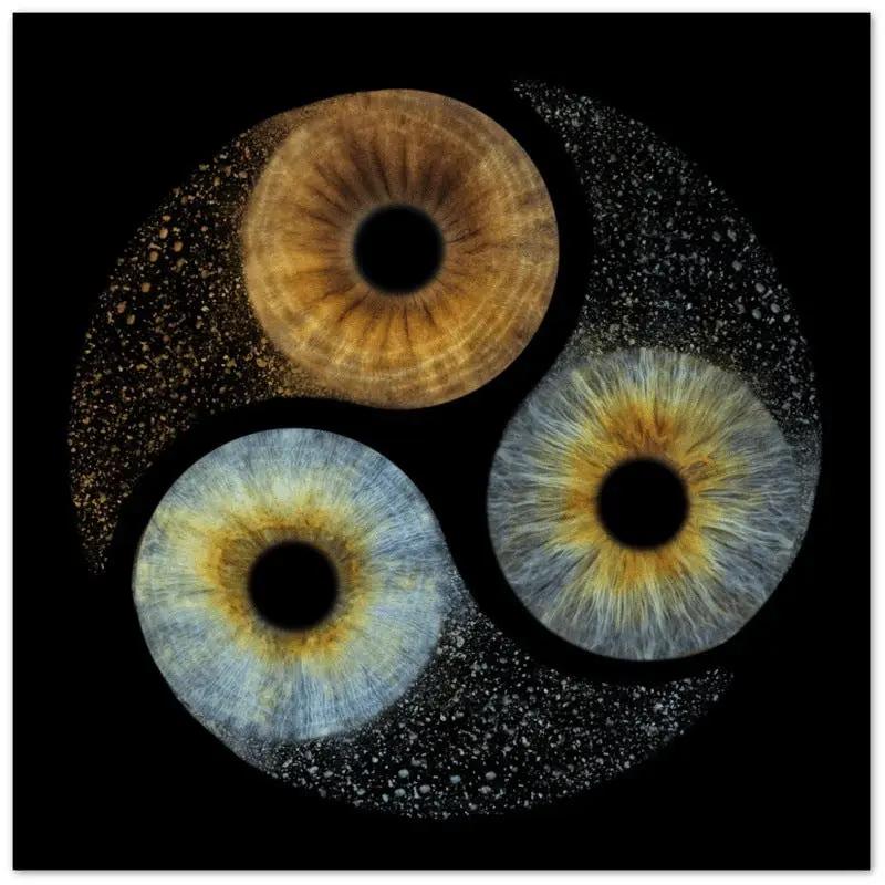 Detailed trio iris canvas on black