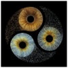 The Ethereal - Custom Trio Iris Canvas