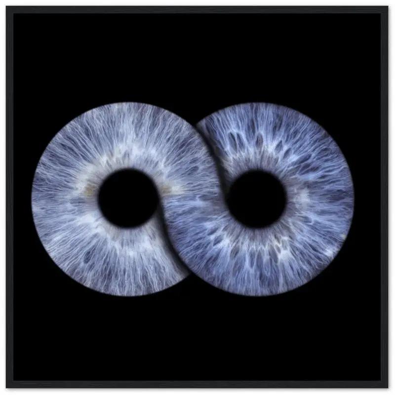 Custom duo iris black framed poster on black background