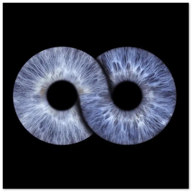 Close-up of infinite duo iris canvas on black