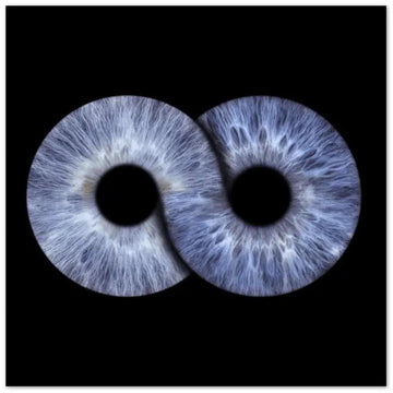 Custom Duo Iris Poster on black background