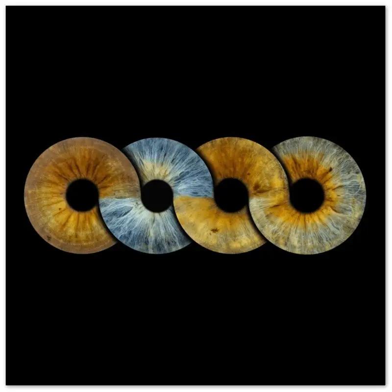 Four iris design on black canvas