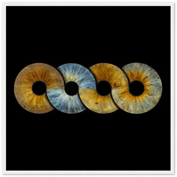 Custom quartet iris poster with black background