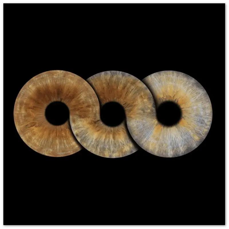 Custom Trio Iris Premium Poster on black background