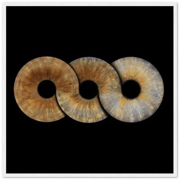 Custom trio iris poster with black background