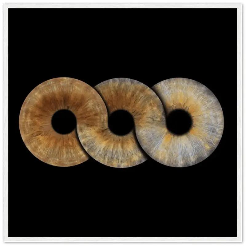 Custom trio iris poster with black background