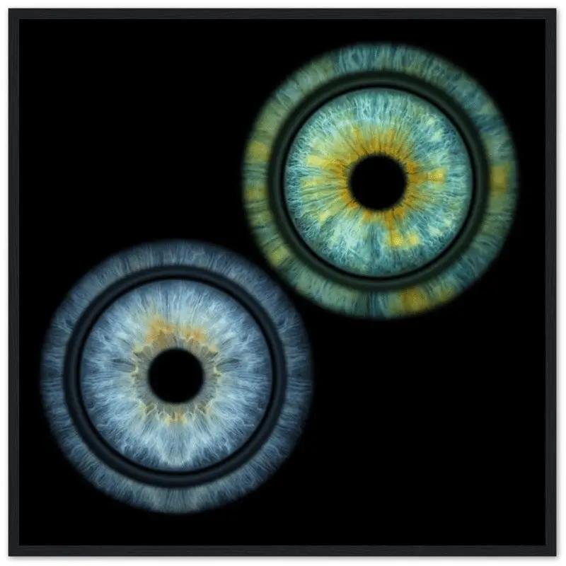 Luminous duo iris black framed poster on black background