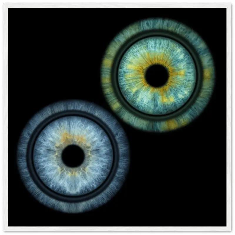 Custom Duo Iris White Framed Poster with black background