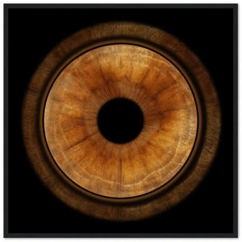 Custom iris black framed poster with brown iris detail