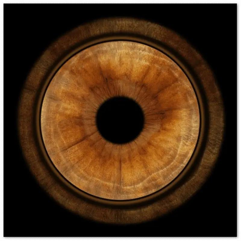 Detailed iris artwork on dark canvas