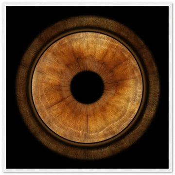 Custom iris poster with dark background, white frame