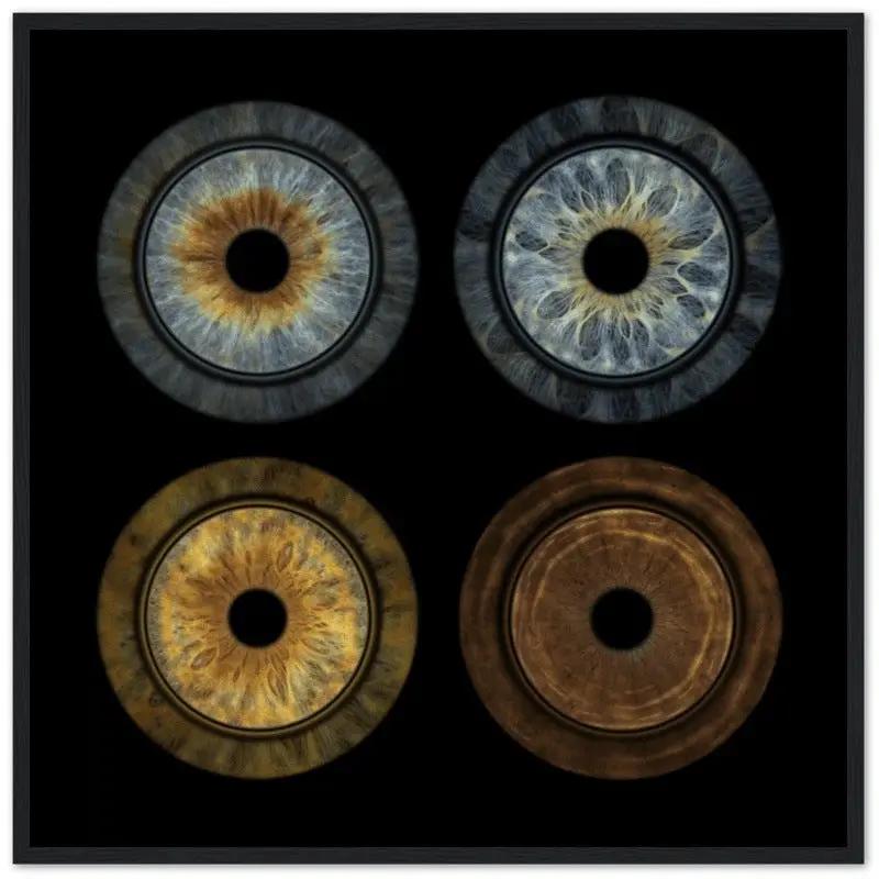 Custom quartet iris black framed poster with four irises.