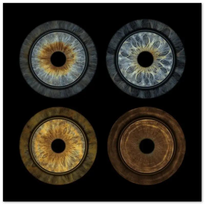 Detailed iris art on black canvas